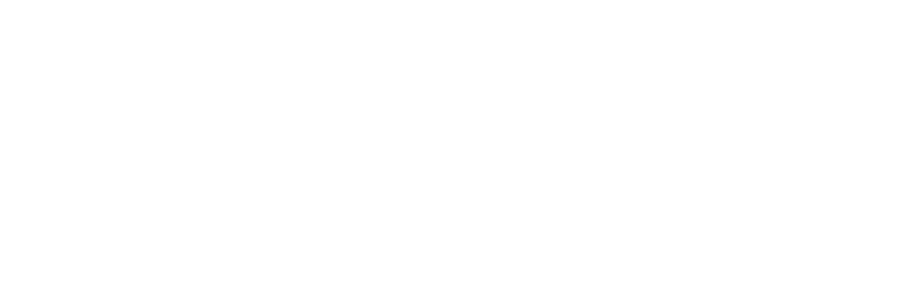 CleanFinn